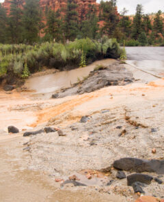 Desert flash flood at Red Canyon Utah USA